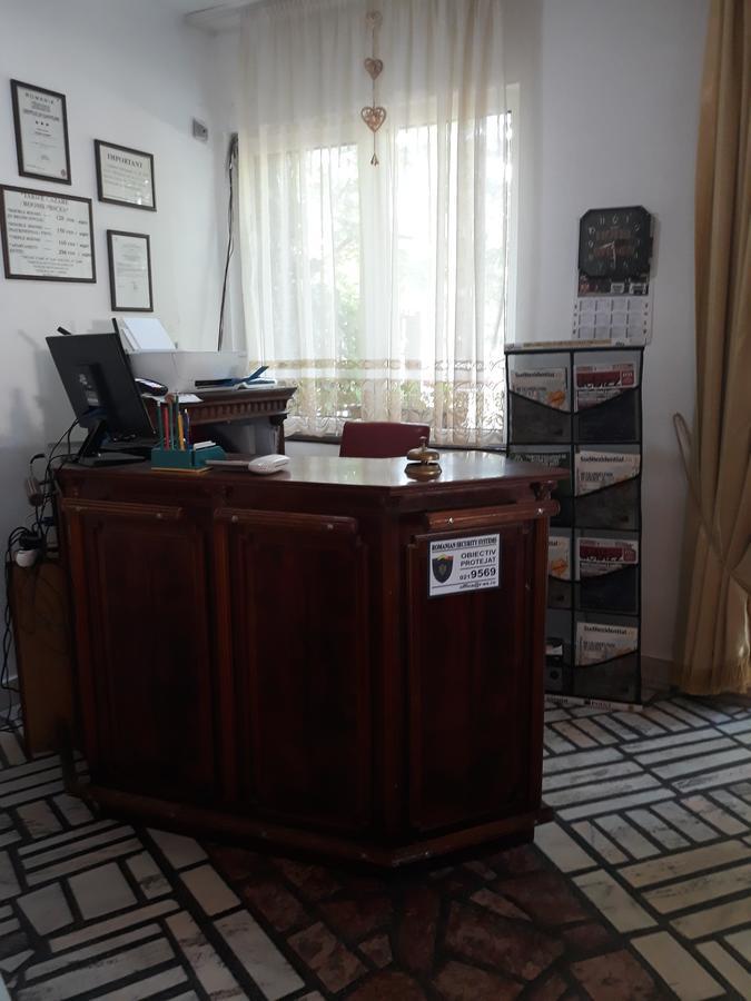 Pensiunea Sydney Timișoara Zewnętrze zdjęcie